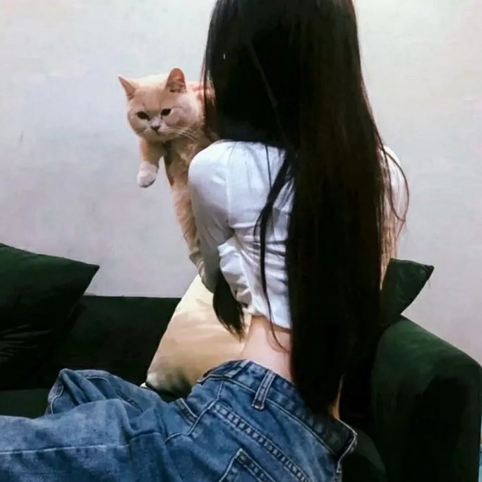 疯马歌舞秀